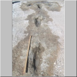 102_6152 (2013-08-07)m.JPG